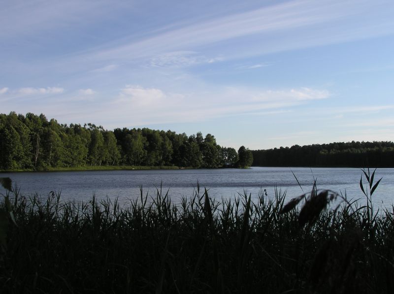 P8043637 