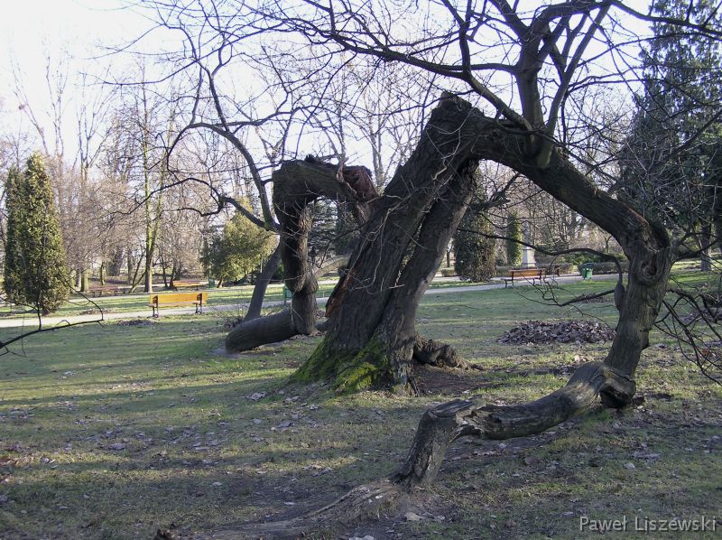 P1082083 