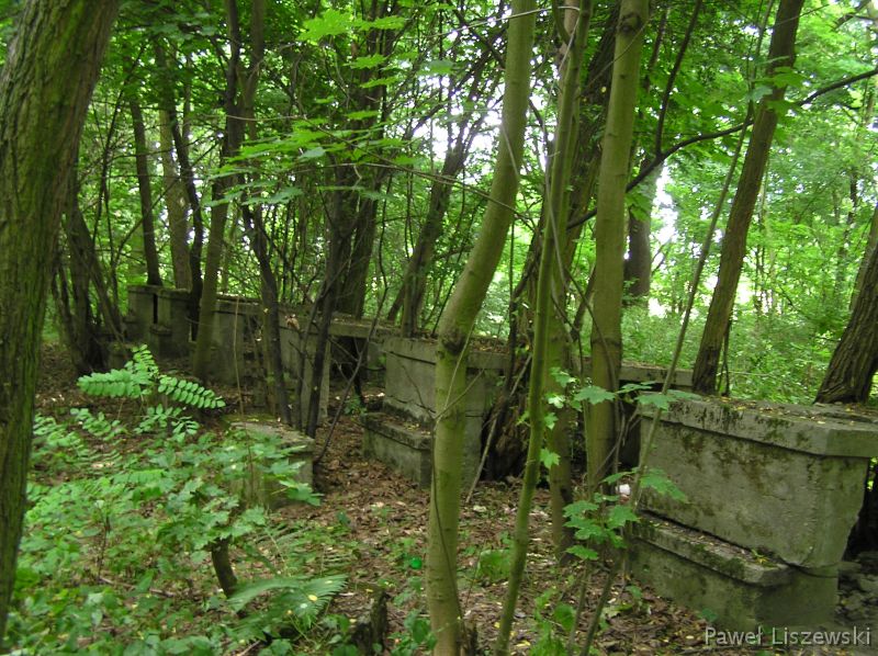 P7173474 dziwne kamienne stoły na tyłach byłej jednostki wojskowej