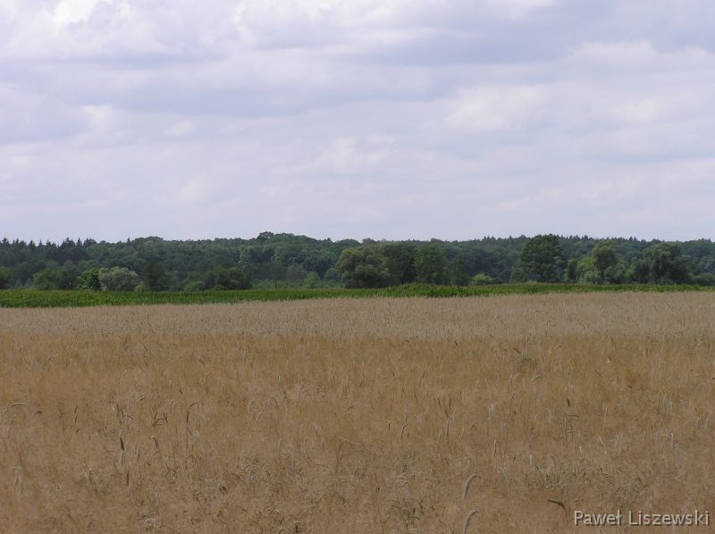 P7173494 