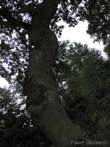 P9113913 