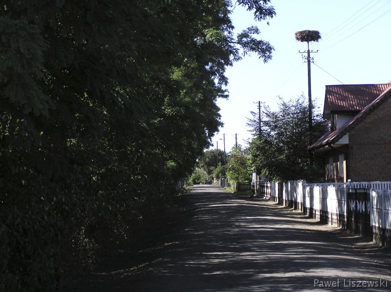 P9183956 wieś