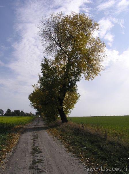PA024063 