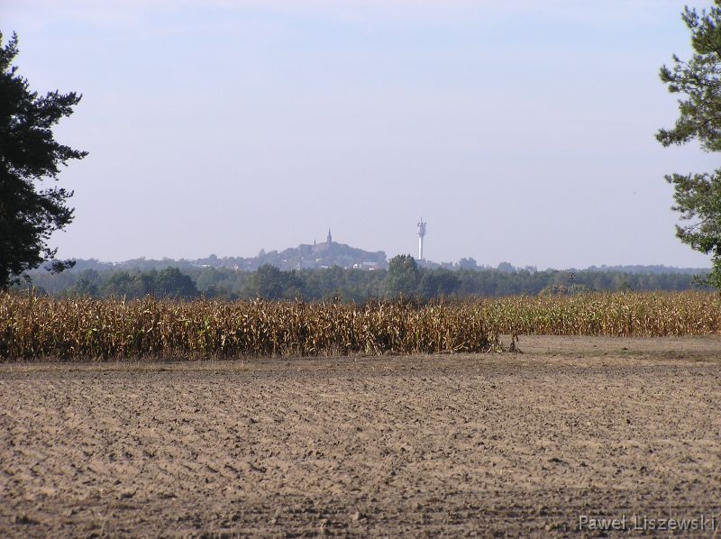 PA094130 