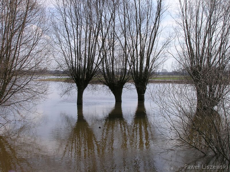 P4025061 Żydów
