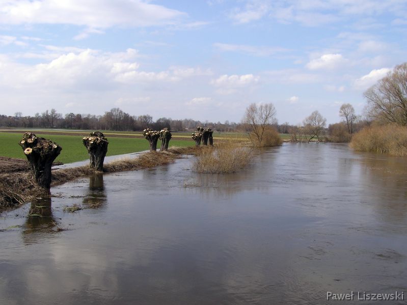 P4025067 Żydów