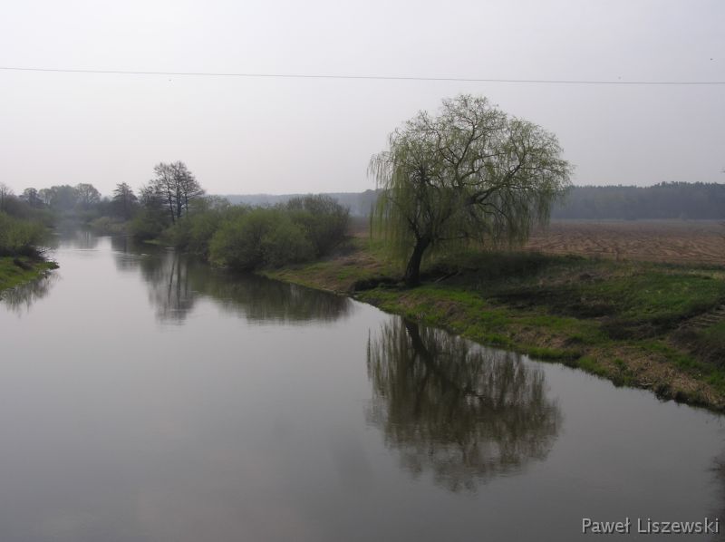 P4235188 Prosna