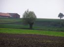 P5035367 Żółty szlak rowerowy z Jedlca do Szadku