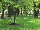 P5075459 park w Koźminku