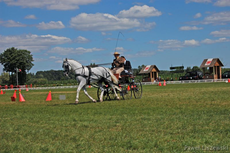 DSC_0790 Mistrzostwa Polski w Powożeniu Zaprzęgami Jarantów 2006